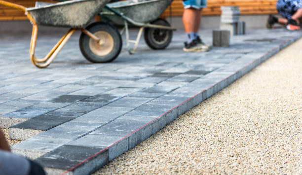Best Driveway Pavers Near Me  in Barneveld, WI