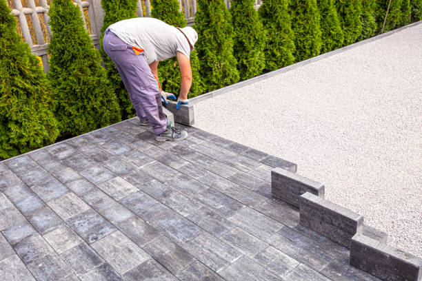 Best Custom Driveway Pavers  in Barneveld, WI
